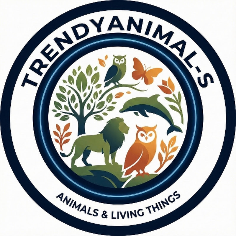 trendy animals