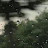 @rainsounds.torelax