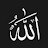 @Syedhabib-h7r