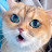 @user-weirene7com