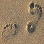 Footprints in the Sand logo