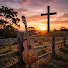 nf-G7BfoYFc-channel-avatar-VibeGospel Sertanejando