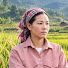 QJ1b_DoXdQo-channel-avatar-Triệu su