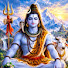 QawjAP7opQg-channel-avatar-Shivam Astrology 