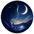 p_PMo6SVlPE-channel-avatar-Shaolin wisdom 