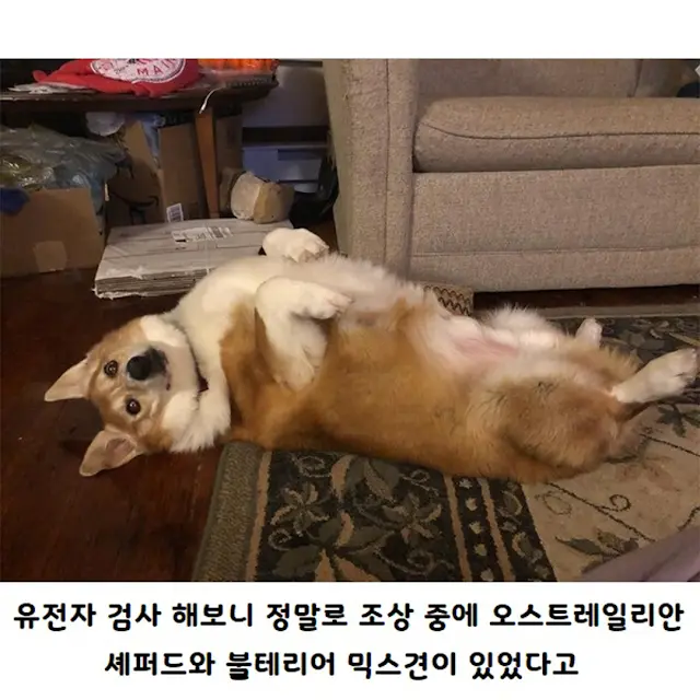 BlockNote image