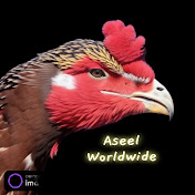 Aseel Worldwide 
