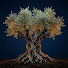 ojxDzyQgcDc-channel-avatar-RootsOfEarth