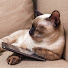 zrgbSFAjtYk-channel-avatar-เผือกบันเทิง