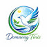 2fIWqFX5Wzo-channel-avatar-DOMNENG TINIS
