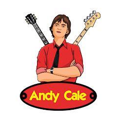 Andy Cale net worth