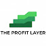 Wv9R24Wo0IU-channel-avatar-The profit layer