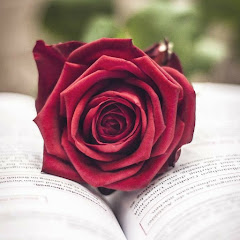 Dard e Ishq