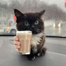 Автор