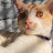@annu-0225