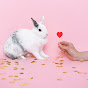 Rabbit LovEs logo