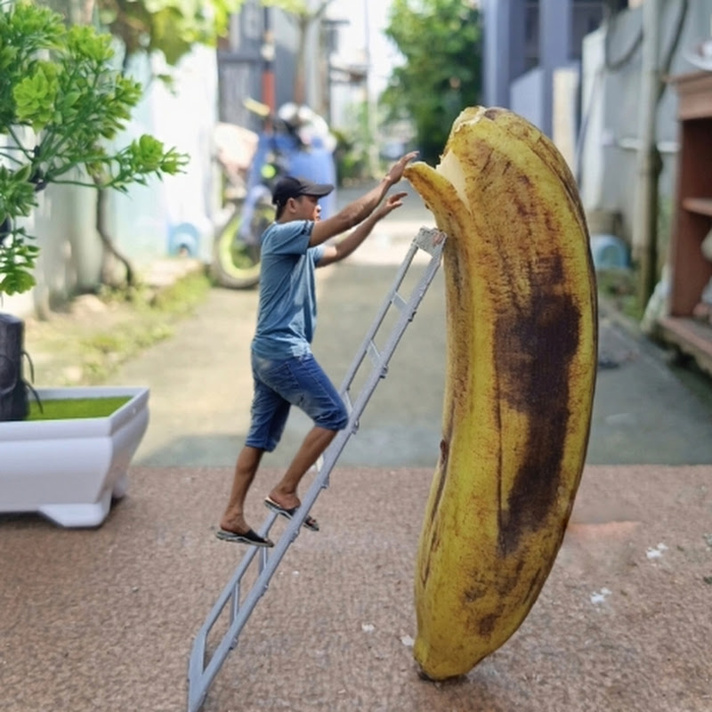 Ardhan Pratama