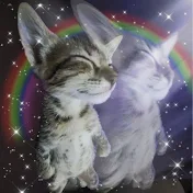 Rainbow kitten 🐾
