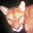 Fowp0EWRKgM-channel-avatar-Yellow Skittles