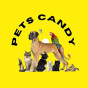PETS CANDY