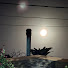 RpQ118PTkcs-channel-avatar-Sofimp99
