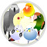 U2Slx9qHflE-channel-avatar-小鳥のお部屋 -おもしろ かわいいインコ飼育ランキング 