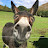 @vondoom2876's avatar