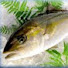 72oZVb7TTcQ-channel-avatar-マルエイ水産