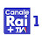 @CanaleRai1TIS