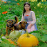 ErjphIxsUO0-channel-avatar-Zenda Daily Harvest