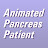 Animated Pancreas Patient