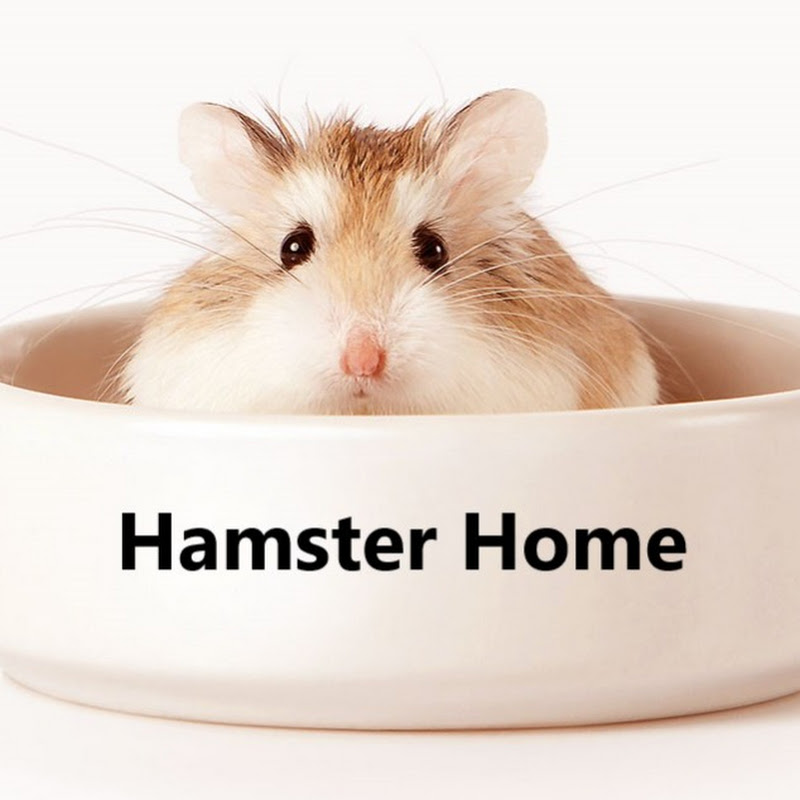 Hamster Home