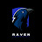 Raven Pubg