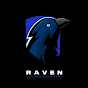 Raven Pubg