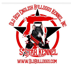 Official Master Of All Bulldogs 