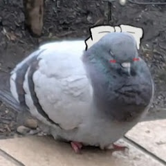 うしのせ