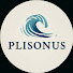 gUr_Ry8tObo-channel-avatar-plisonus