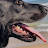 @panchopistolas1's avatar