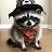 @raccoonman33