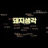 3QJihGimoTA-channel-avatar-기차타는 돼지생각