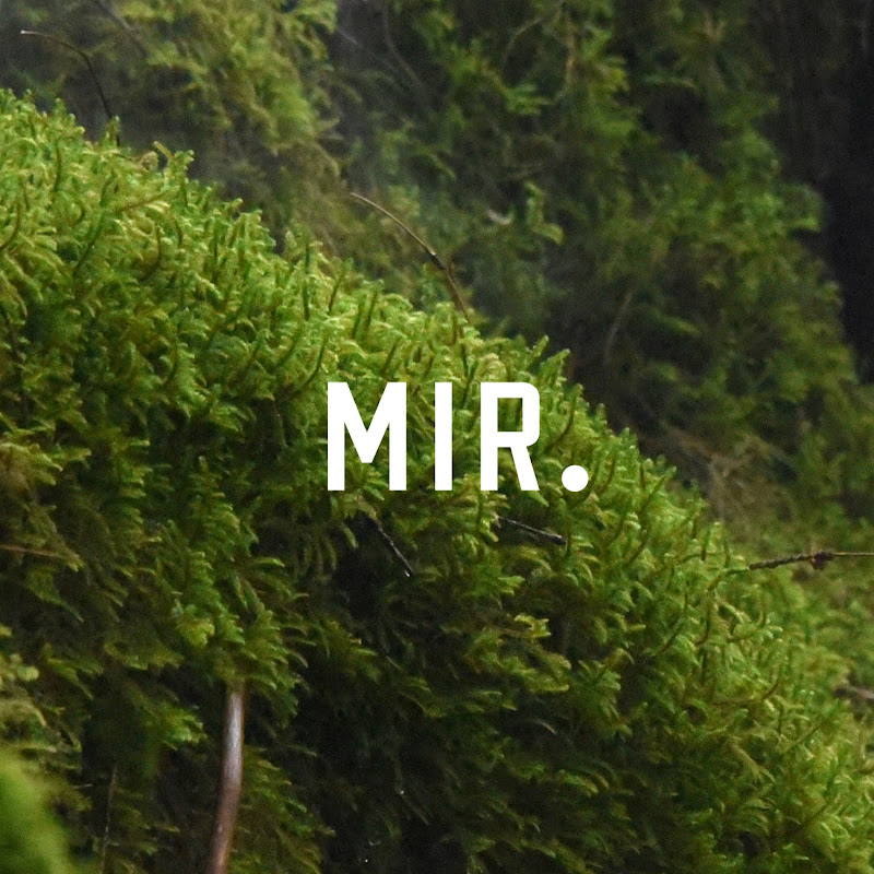 The Mir Way