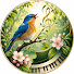 TVuKZy8Wrs0-channel-avatar-Peaceful Bird Melodies
