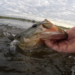 All Angling Africa