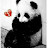 @panpanda7682