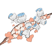 Suu