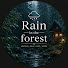 orKAAYN_SRw-channel-avatar-Rain in the forest