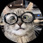 @qipy's avatar