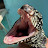 Avatar photo
