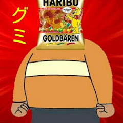 けんも グミチャンネル