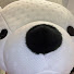 YAH5lG2iFqQ-channel-avatar-Polarguard